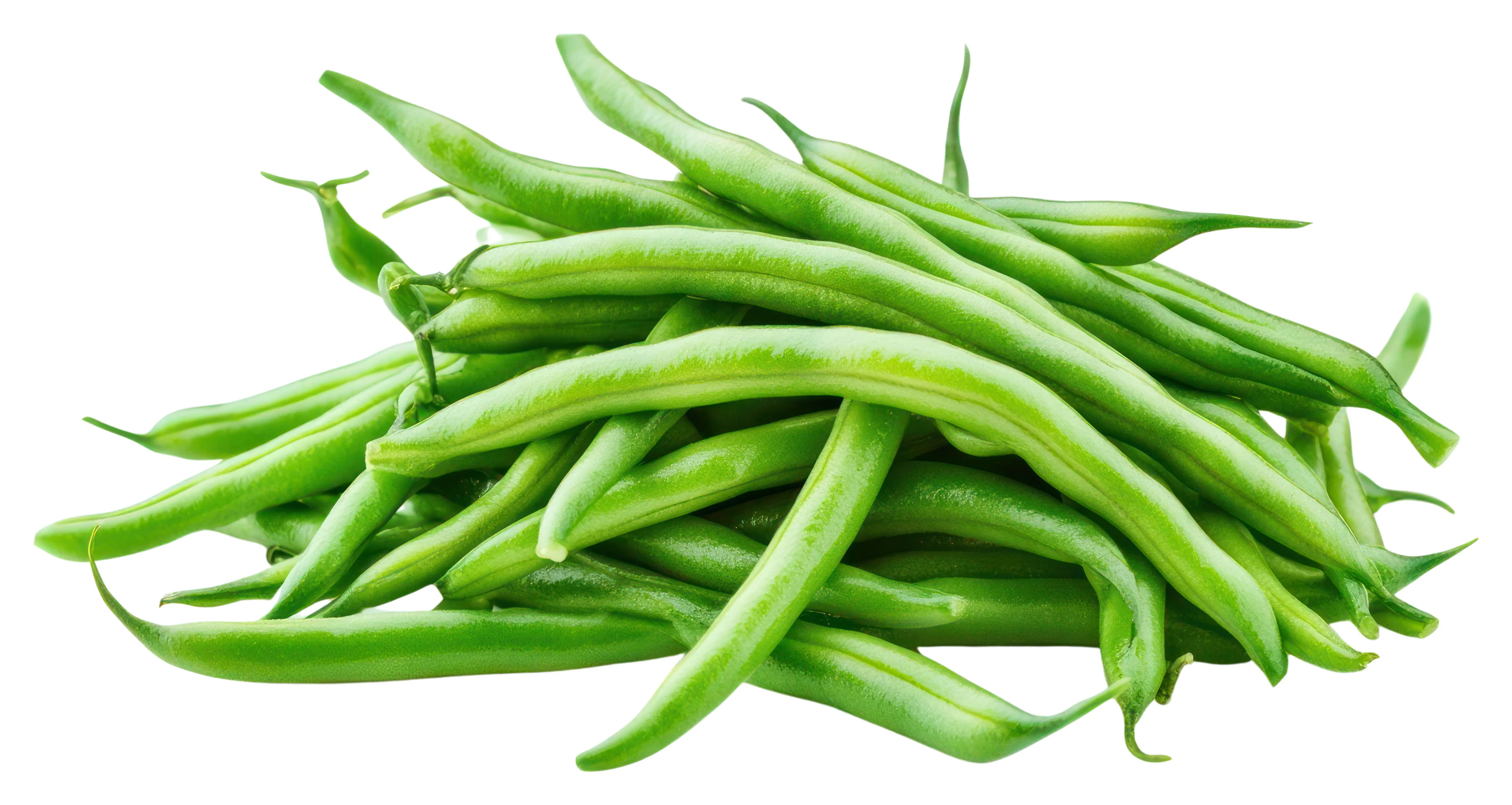 French Beans in Ayurveda Health Benefits and Side Effects